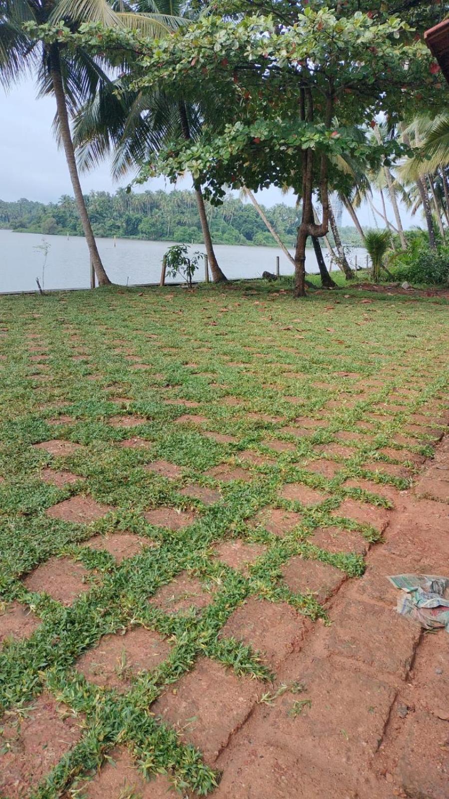 Whispering Waters Villa Kozhikode Bagian luar foto